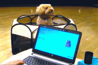 Dog-Scan®（ドッグスキャン）