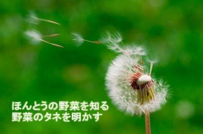 シード